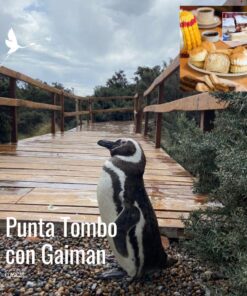 Punta Tombo con Valle Inferior