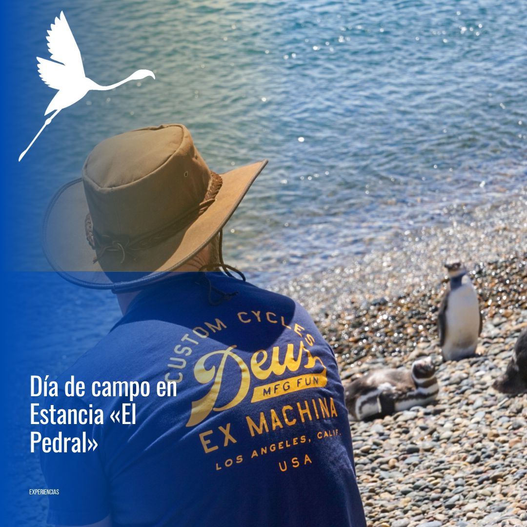 🐧 "Día de Campo & Pingüinos en Estancia El Pedral" - Imagen 5