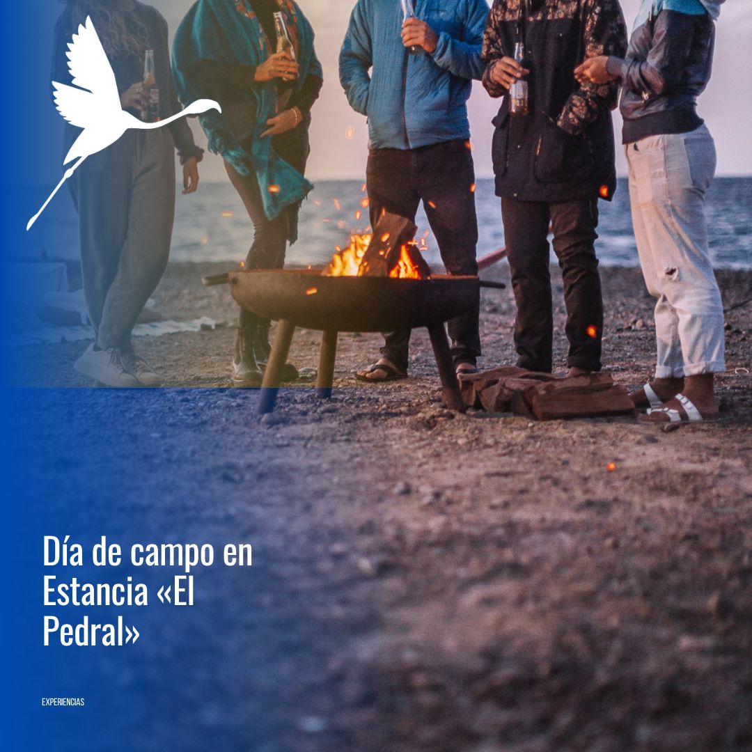 🐧 "Día de Campo & Pingüinos en Estancia El Pedral" - Imagen 4