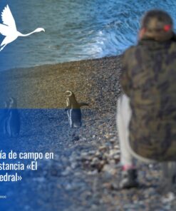🐧 "Día de Campo & Pingüinos en Estancia El Pedral"