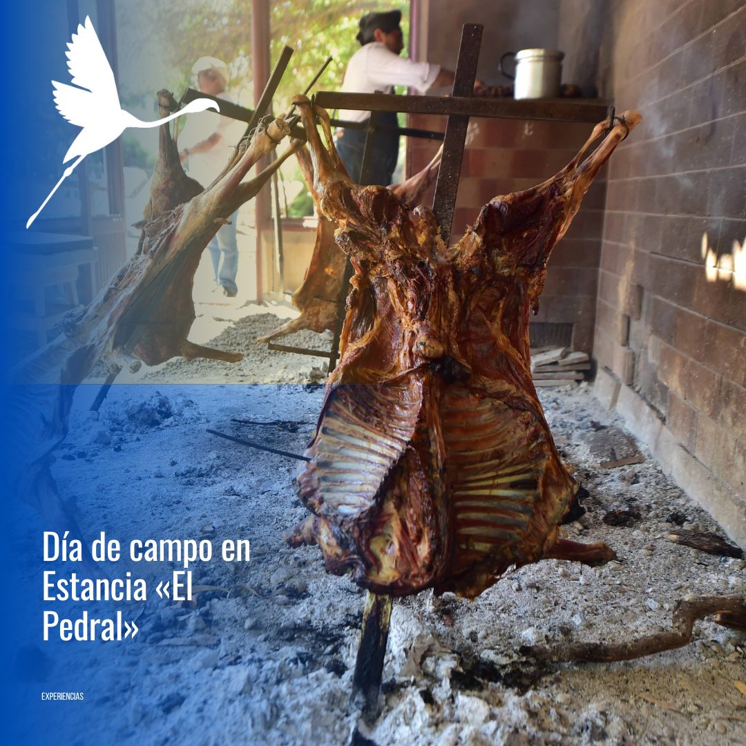 🐧 "Día de Campo & Pingüinos en Estancia El Pedral" - Imagen 12