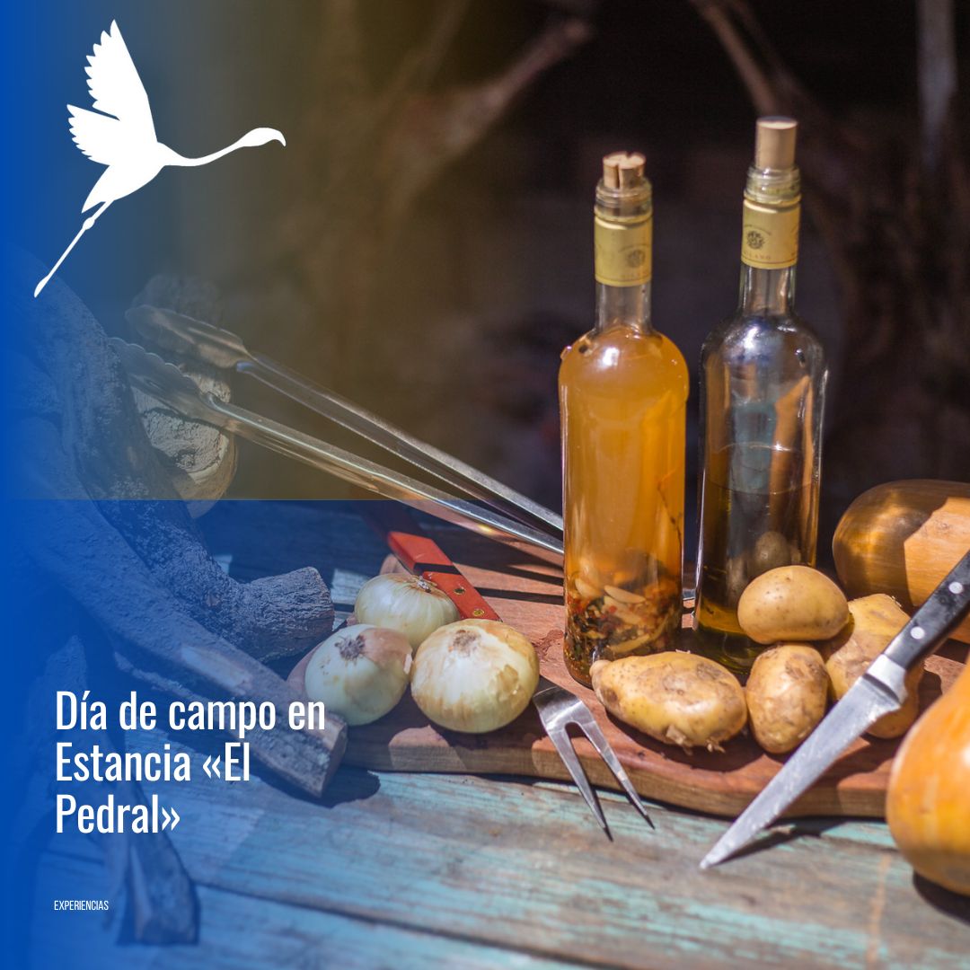 🐧 "Día de Campo & Pingüinos en Estancia El Pedral" - Imagen 11