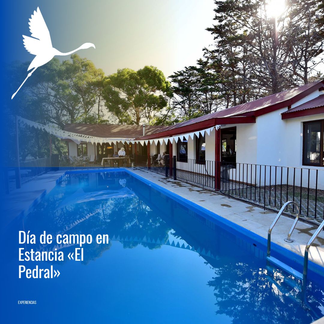 🐧 "Día de Campo & Pingüinos en Estancia El Pedral" - Imagen 10