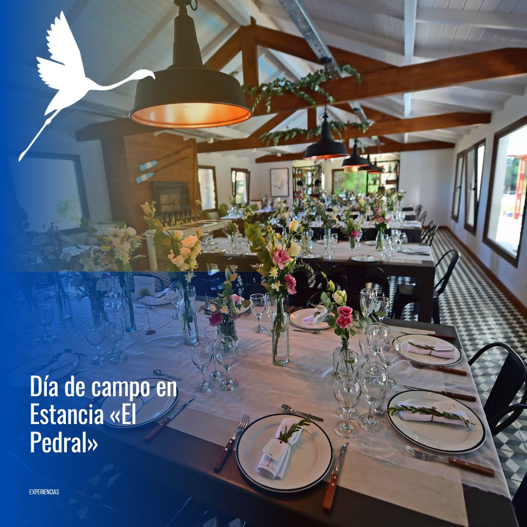 🐧 "Día de Campo & Pingüinos en Estancia El Pedral" - Imagen 9