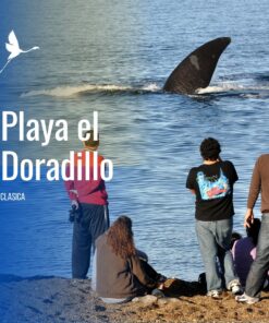 El Doradillo, avistaje costero.