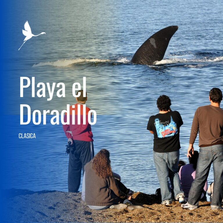 Playa El Doradillo, avistaje costero.