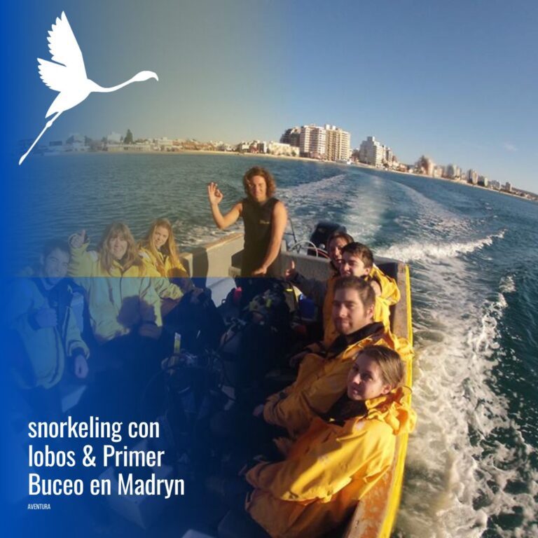Paquete Snorkeling con Lobos + Bautismo submarino