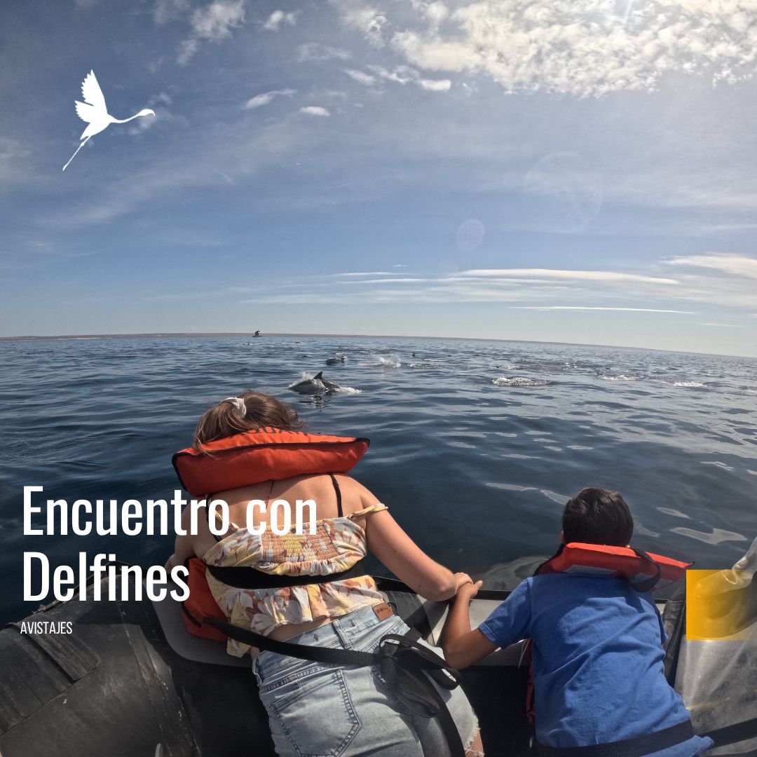 Encuentro con Delfines Oscuros. (Desde Pto Madryn) - Imagen 6