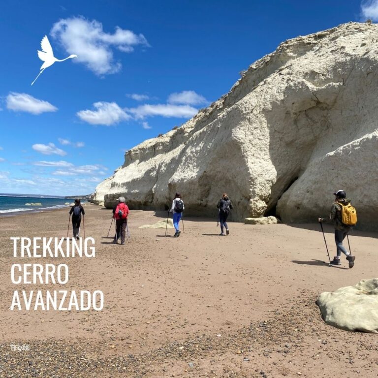 Trekking Cerro Avanzado Experience