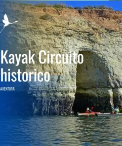 Kayak Costero: Descubrí Puerto Madryn desde el Mar