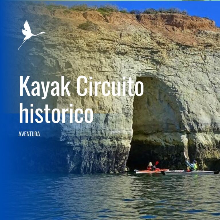 Kayak Costero: Descubrí Puerto Madryn desde el Mar