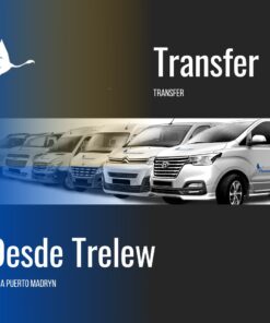 Transfer IN: Desde Aerop. Trelew hacia Puerto Madryn