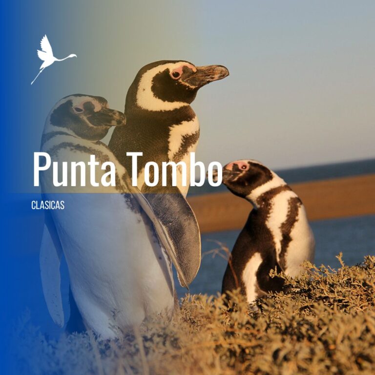 Punta Tombo con Valle Inferior