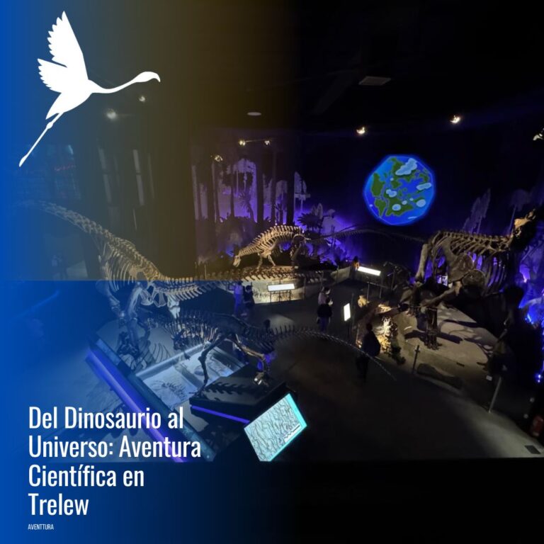 Museo Paleontológico (MEF) + Centro Astronómico Trelew + DINO