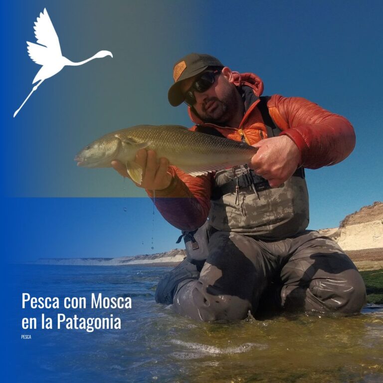 Pesca con Mosca en la Patagonia (FD)