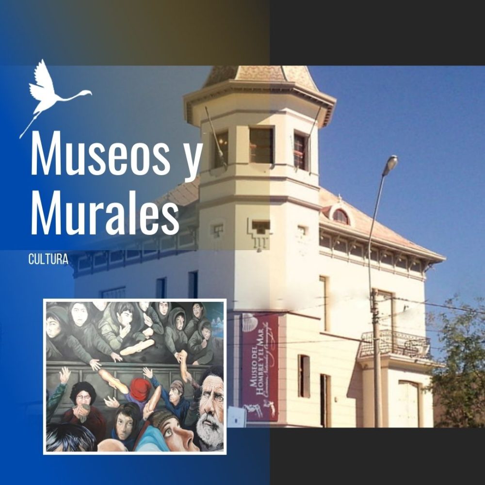 Museos, Murales y Sabores