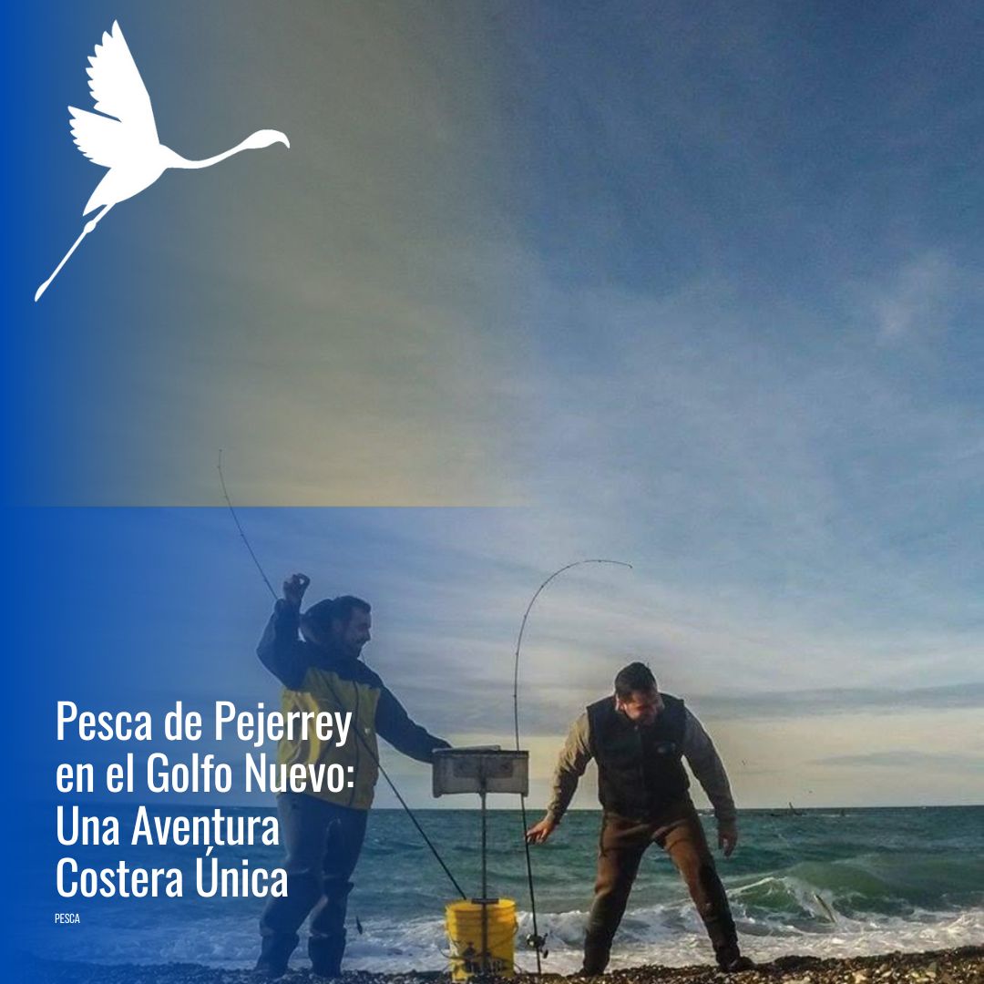 Pesca con spinning en el mar (FD) - Imagen 2