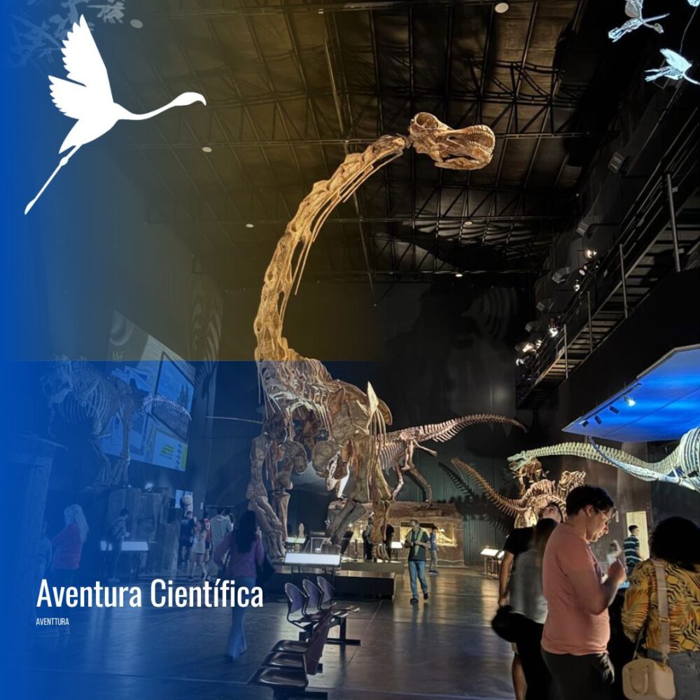 Tour de Paleontología: Del Dinosaurio más Grande al Campo Fósil
