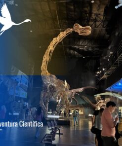 Tour de Paleontología: Del Dinosaurio más Grande al Campo Fósil