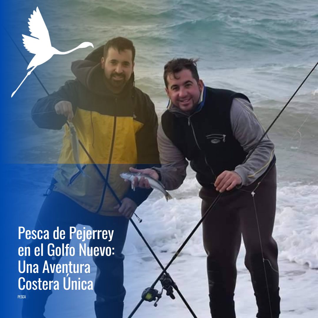 Pesca con spinning en el mar (FD) - Imagen 6