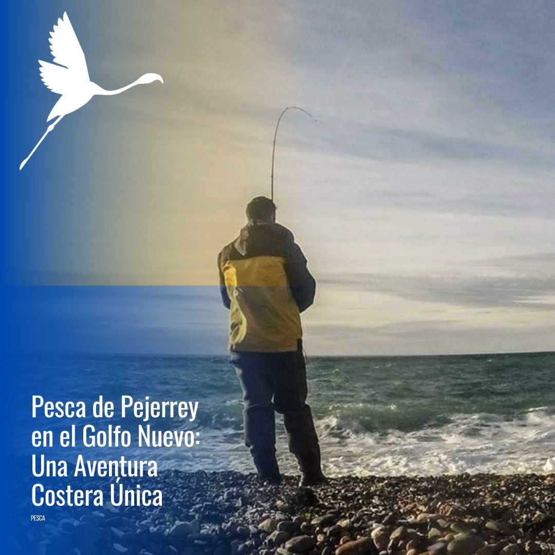 Pesca con spinning en el mar (FD) - Imagen 5