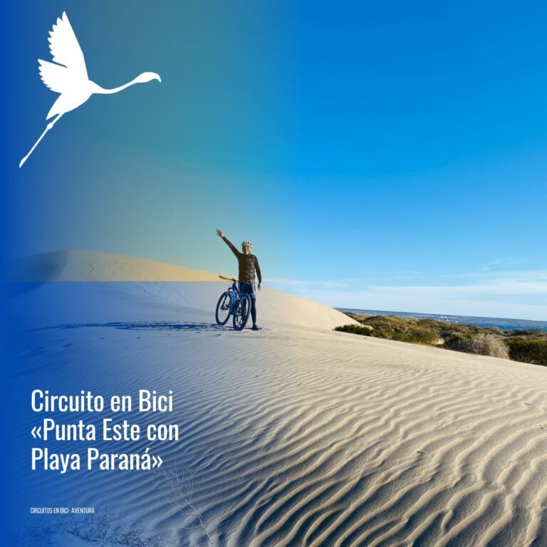 Bike: "Punta Este con Playa Paraná"