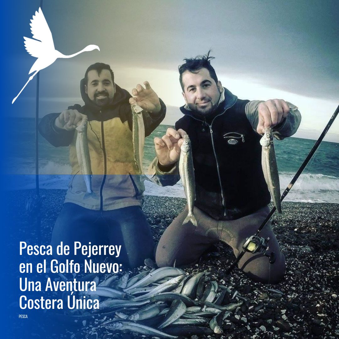 Pesca con spinning en el mar (FD)
