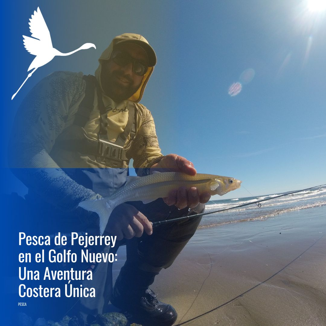 Pesca con spinning en el mar (FD) - Imagen 3