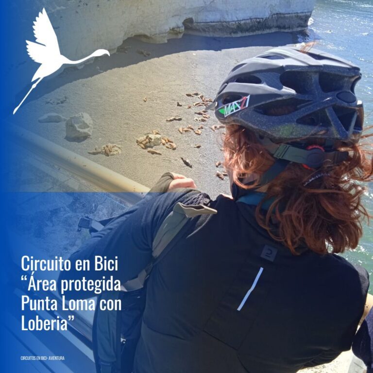 Bike: Cerro Avanzado con loberia