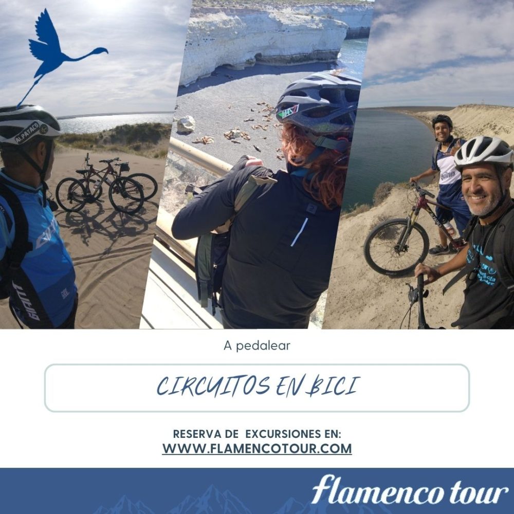 Circuitos en Bici