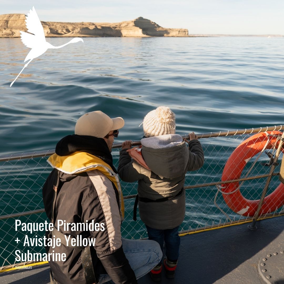 Yellow submarine (semisumergible) - Imagem 6