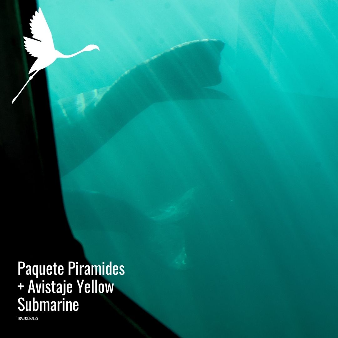 Yellow submarine (semisumergible) - Imagem 13