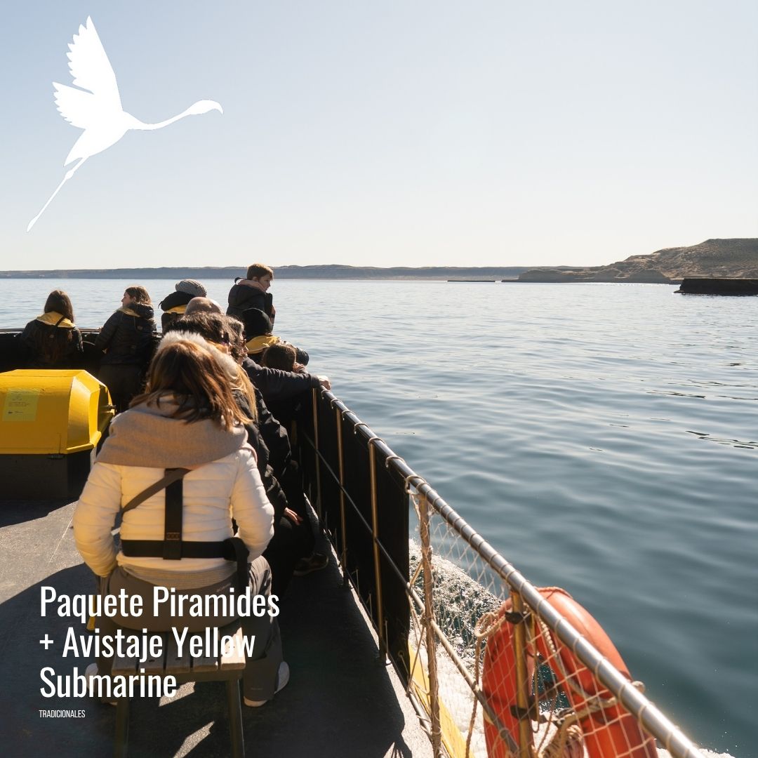 Yellow submarine (semisumergible) - Imagem 12