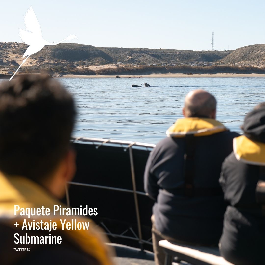 Yellow submarine (semisumergible) - Imagem 9