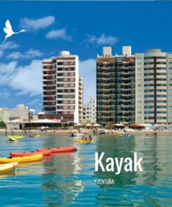 "Aventura con Leones Marinos – Kayak o Bici según el Clima"