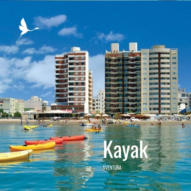 "Aventura con Leones Marinos – Kayak o Bici según el Clima"