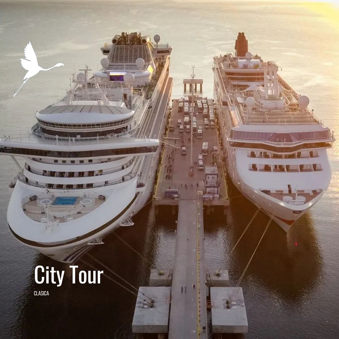 Punta Loma + Colonia Galesa Shore Excursion - Imagen 15