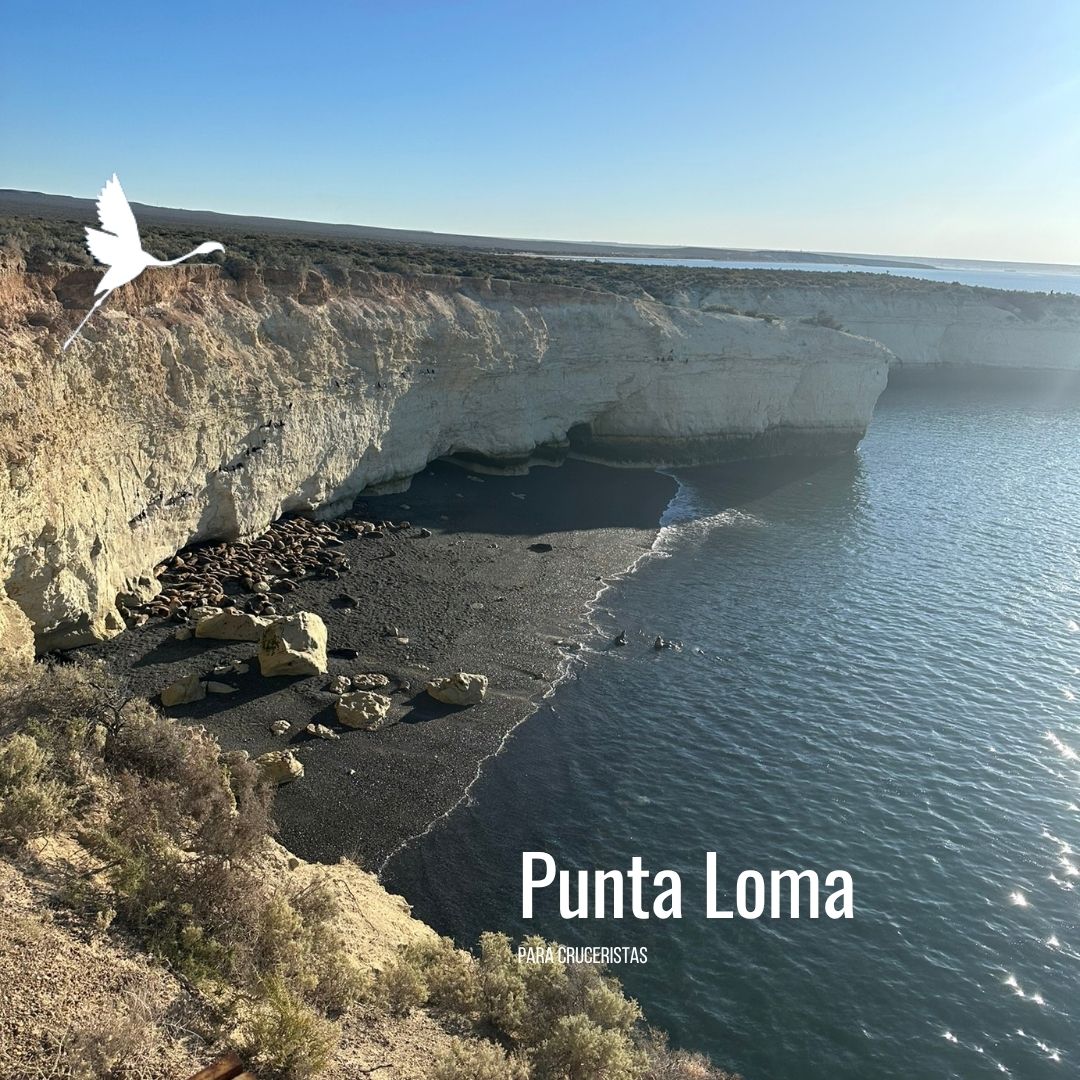 Punta Loma + Colonia Galesa Shore Excursion - Imagen 13