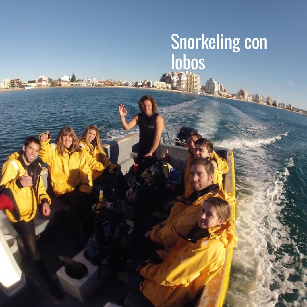 Snorkeling con Lobos Marinos en Punta Loma Shore Excursion - Imagen 5