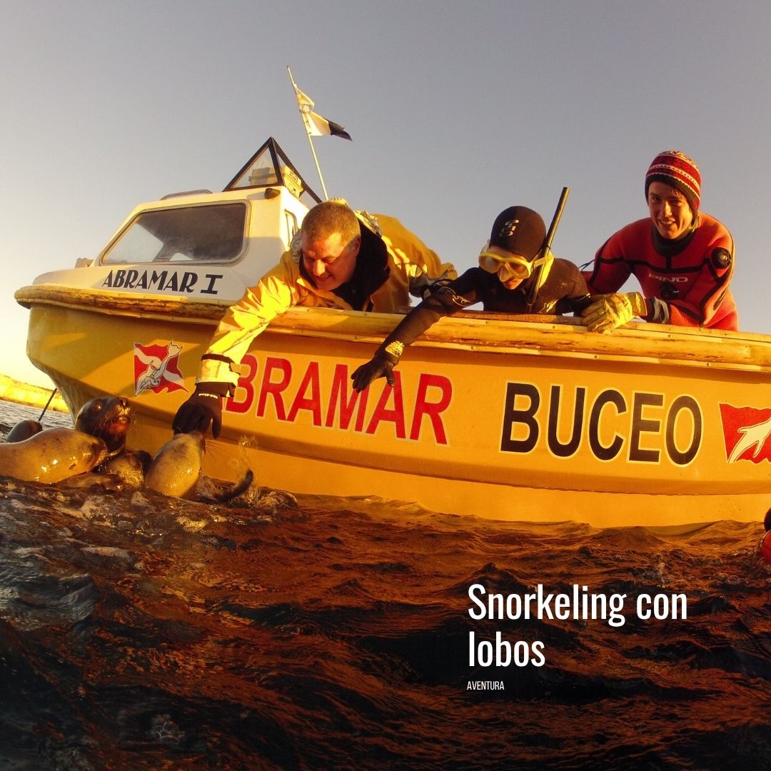 Snorkeling con Lobos Marinos en Punta Loma Shore Excursion - Imagen 4