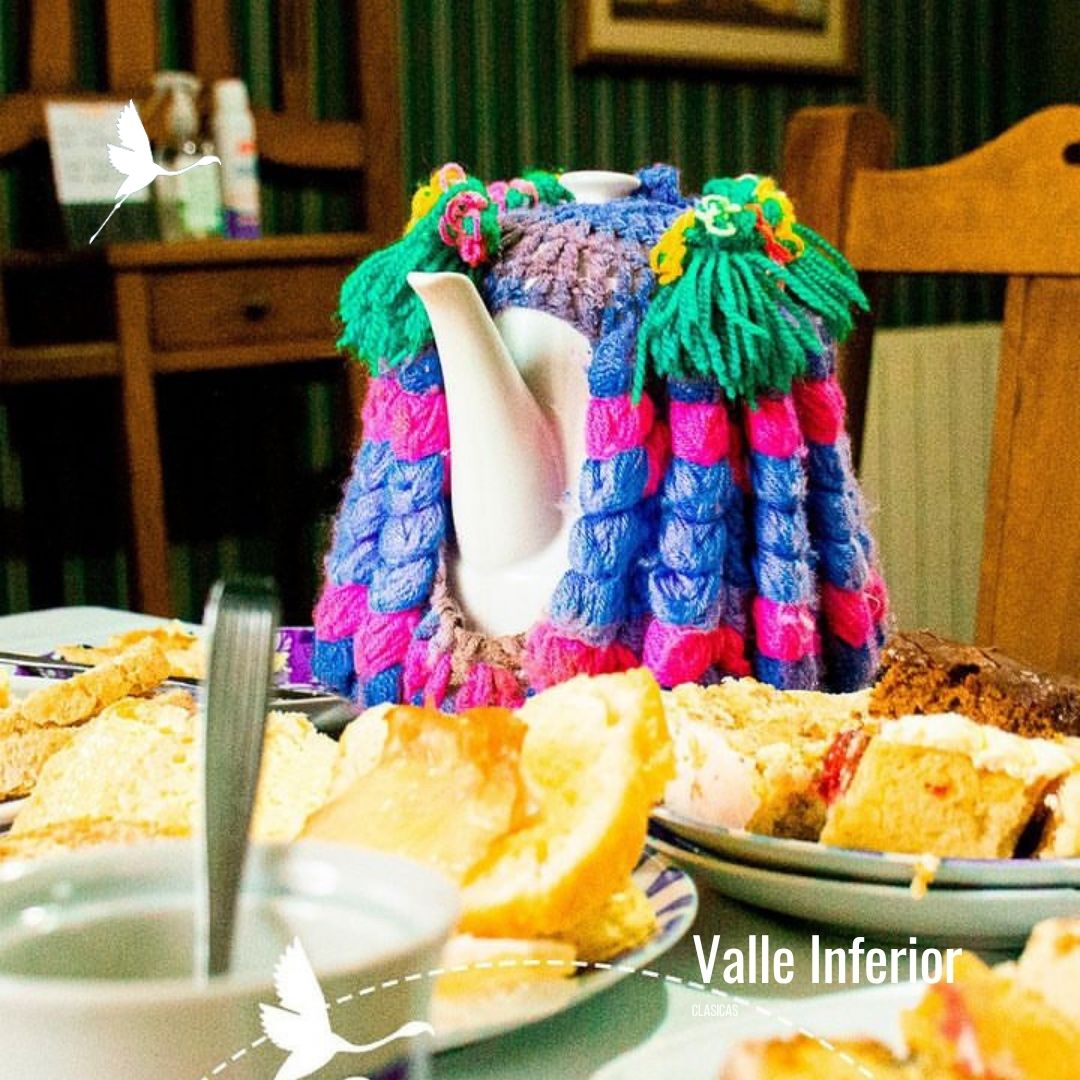 Punta Loma + Colonia Galesa Shore Excursion - Imagen 7