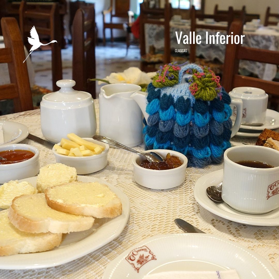 Colonia Galesa + Museo Paleontologico - Imagen 7