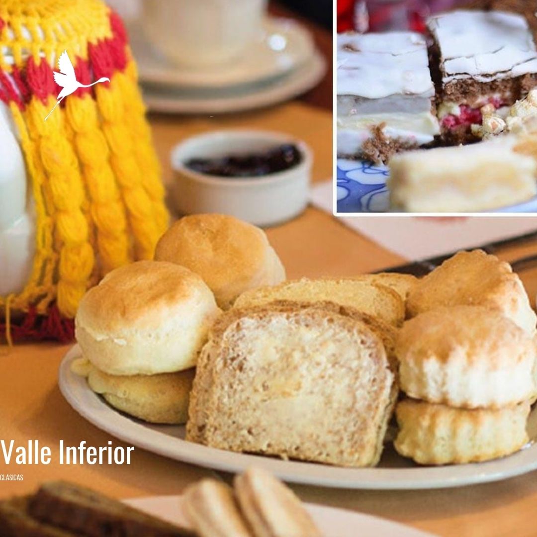 Colonia Galesa + Museo Paleontologico - Imagen 6