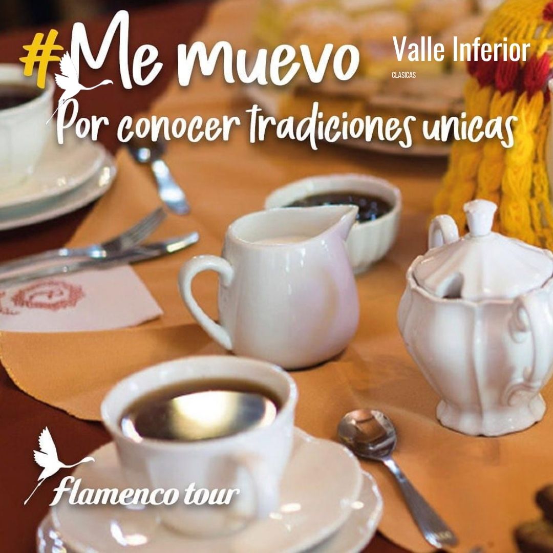 Colonia Galesa + Museo Paleontologico - Imagen 11