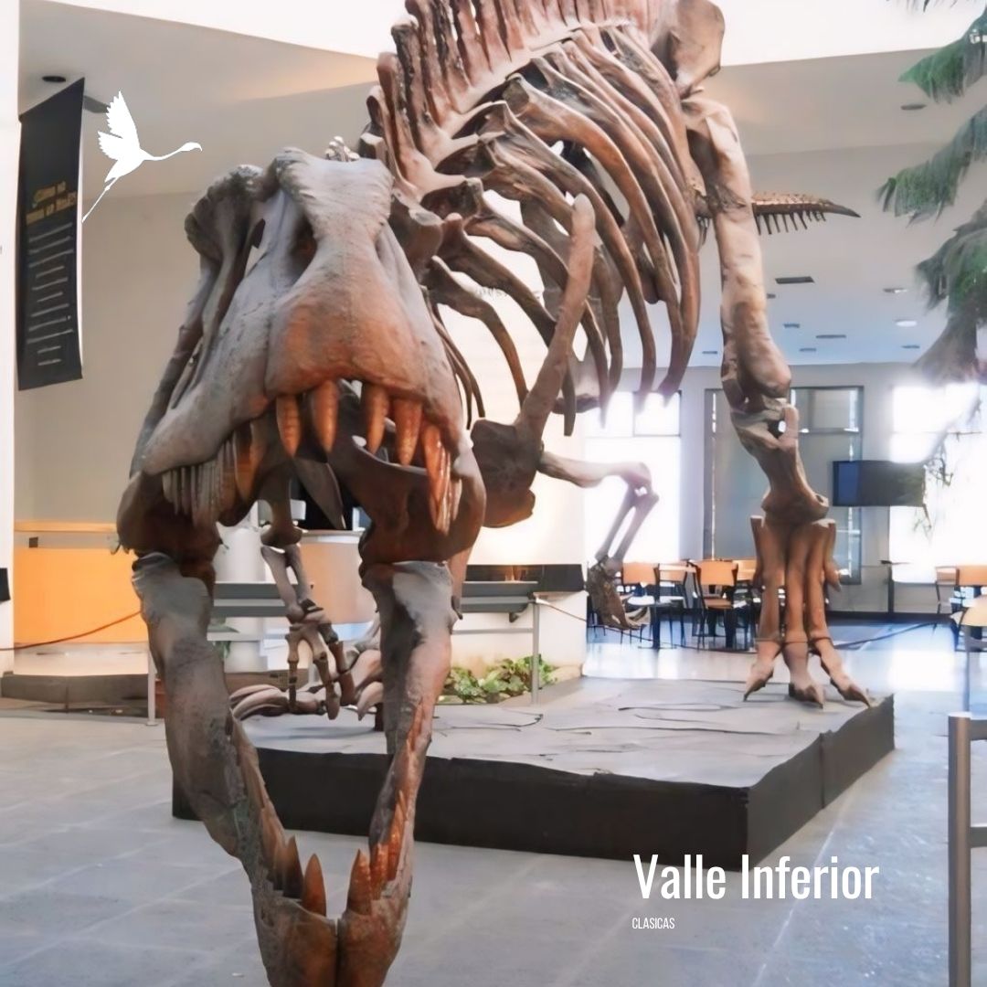 Colonia Galesa + Museo Paleontologico - Imagen 10