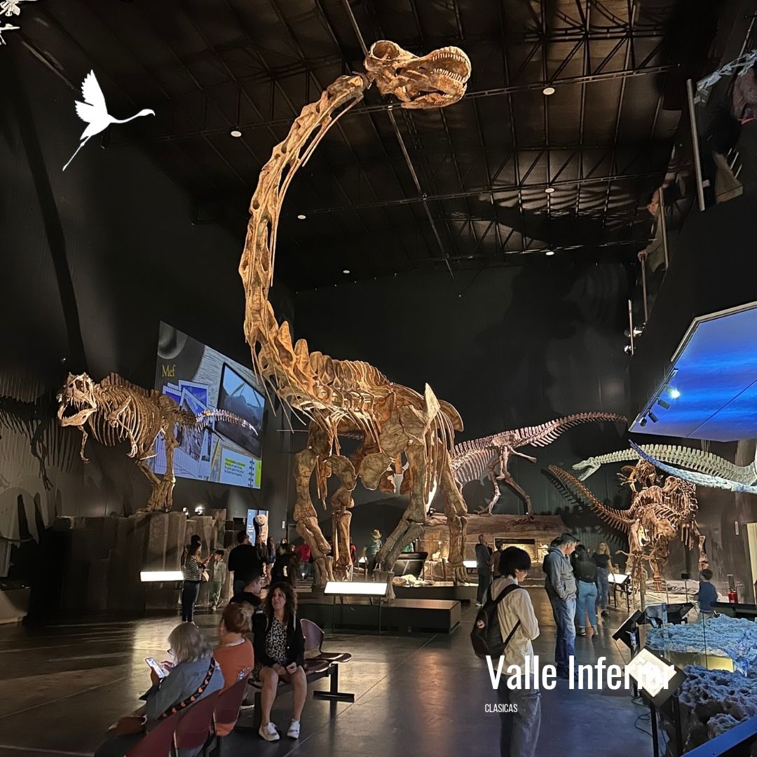 Punta Loma + Colonia Galesa Shore Excursion - Imagen 10