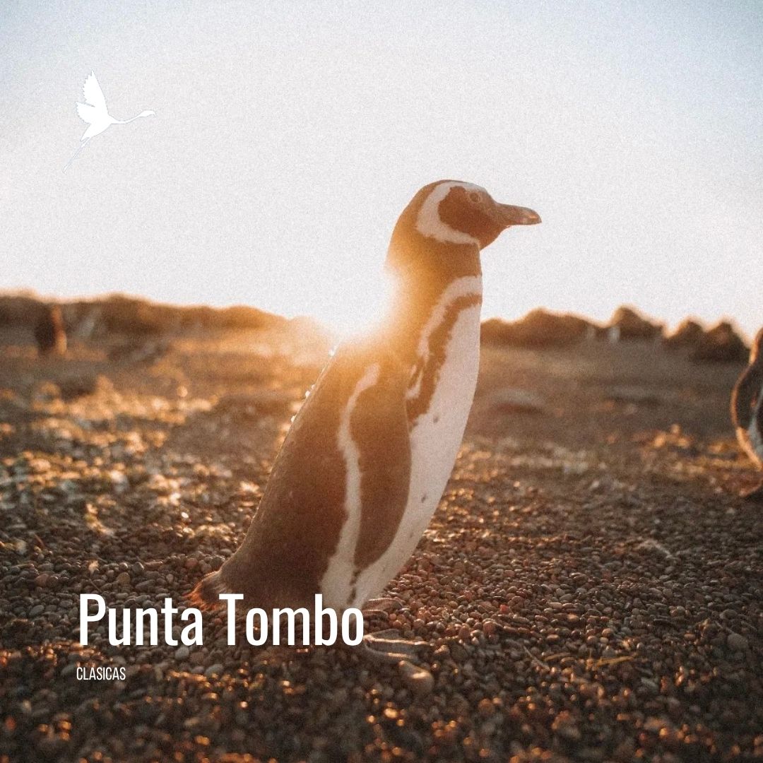 Punta Tombo con Valle Inferior - Imagem 5