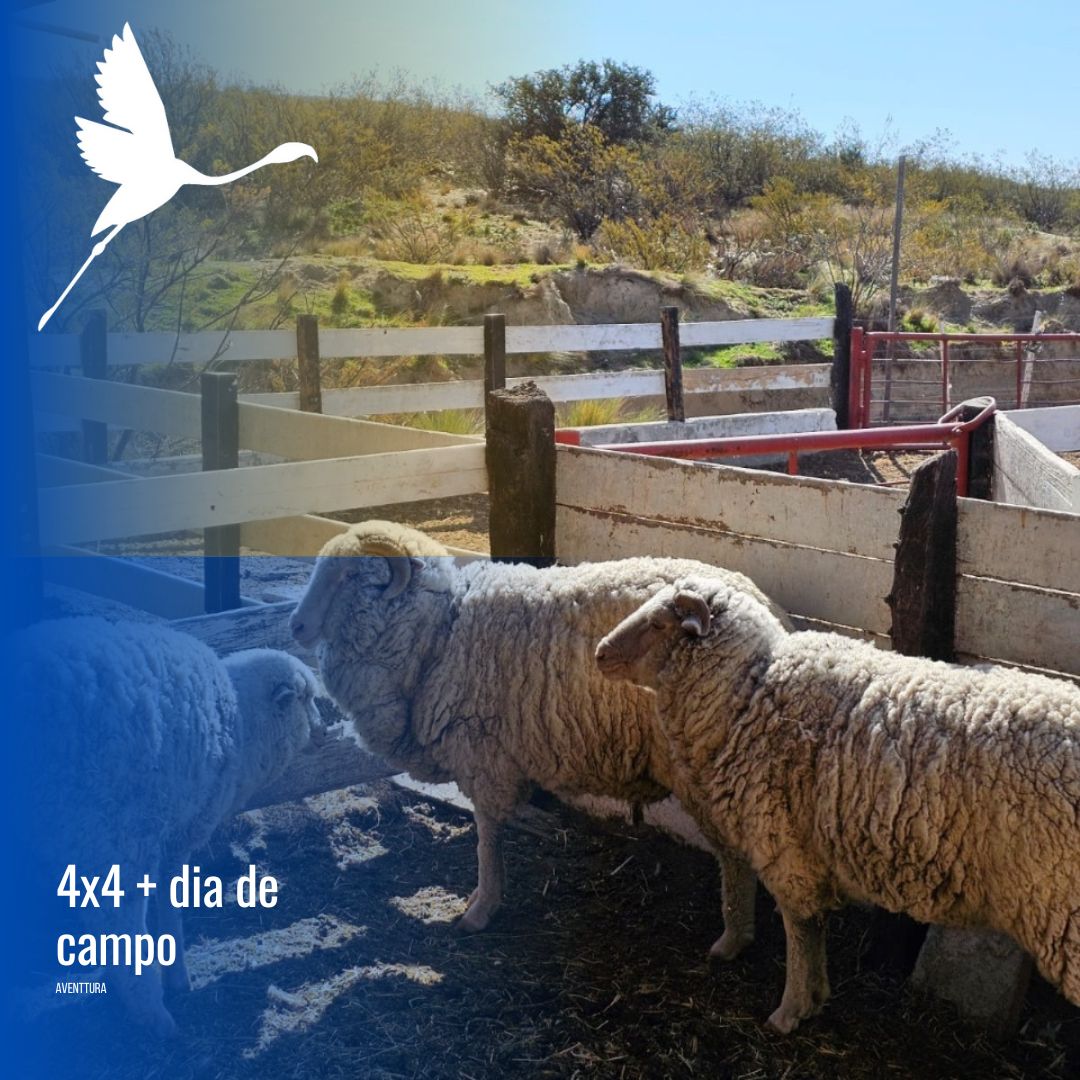 Tour 4x4 en Puerto Madryn con estancia San Guillermo - Imagen 4