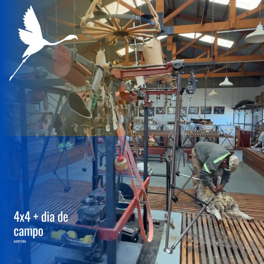 Tour 4x4 en Puerto Madryn con estancia San Guillermo - Imagen 11