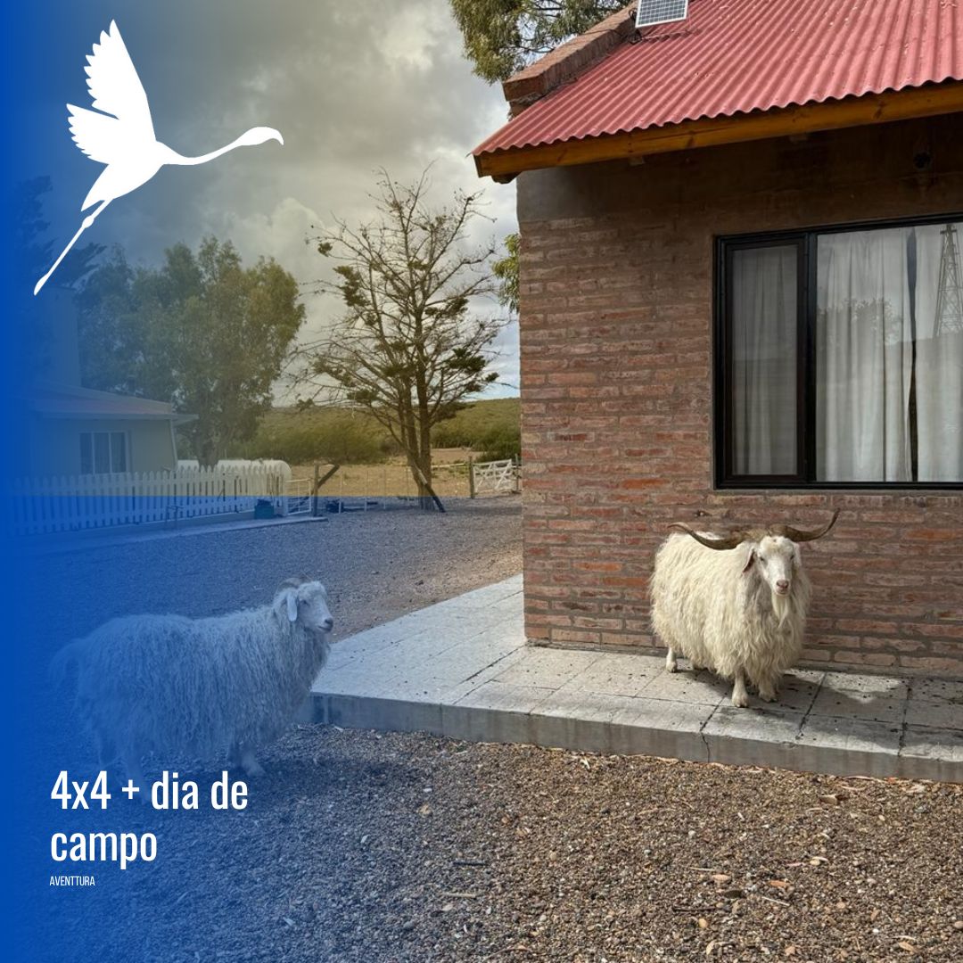 Tour 4x4 en Puerto Madryn con estancia San Guillermo - Imagen 12